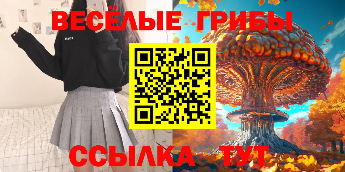 Долгопрудный  Псилоцибиновые грибы прущие грибы  Вход с VPN  Псилоцибиновые грибы Psilocybine cubensis 