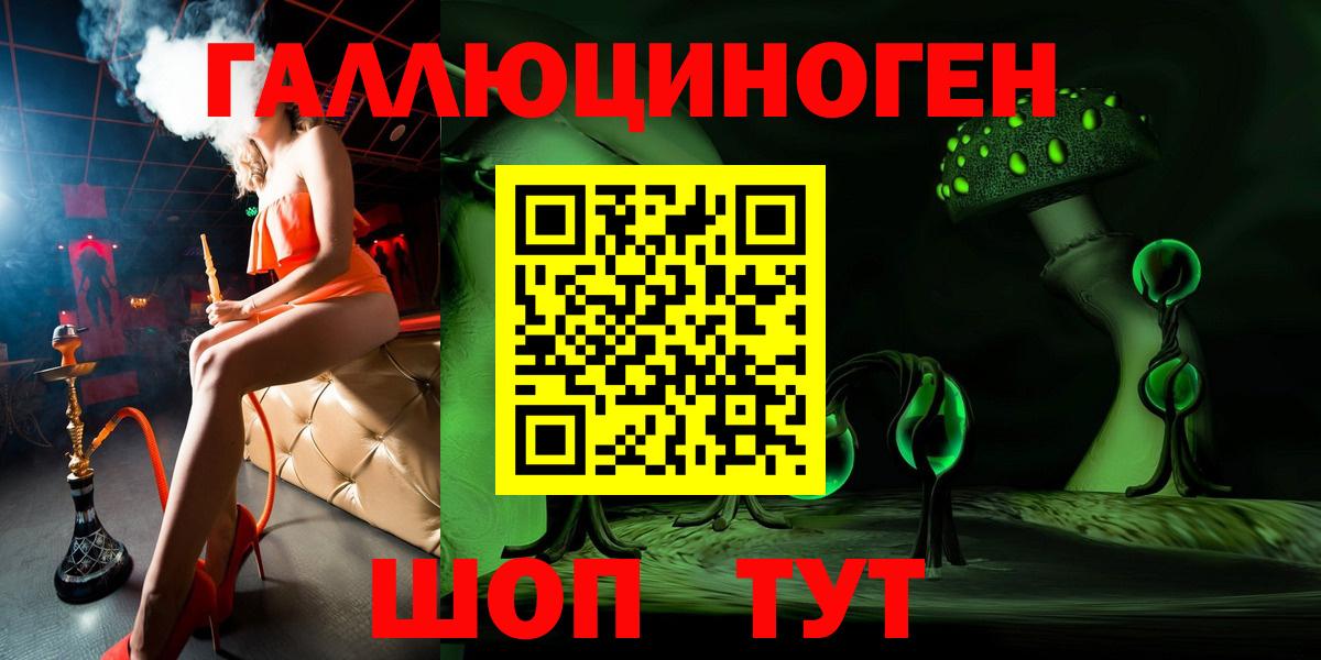 Псилоцибиновые грибы Psilocybe Долгопрудный